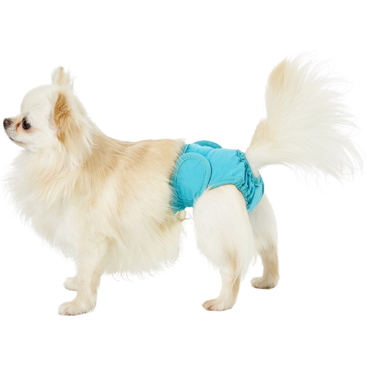 Simple solutions washable dog hot sale diapers